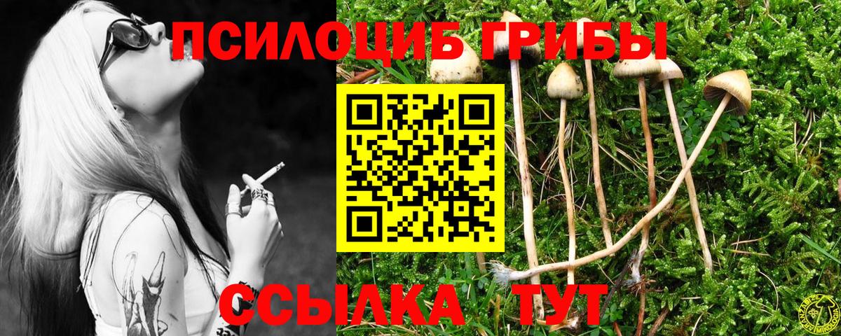 Галлюциногенные грибы Psilocybine cubensis Жигулёвск
