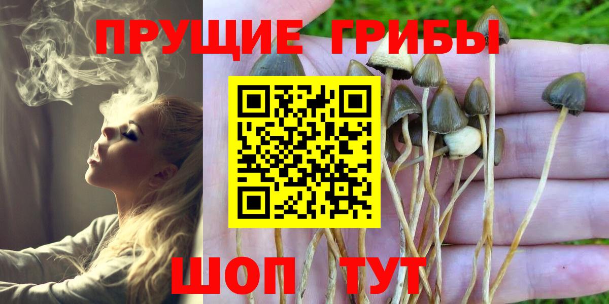 Псилоцибиновые грибы GOLDEN TEACHER  Вход с VPN  Жигулёвск  Псилоцибиновые грибы мухоморы 