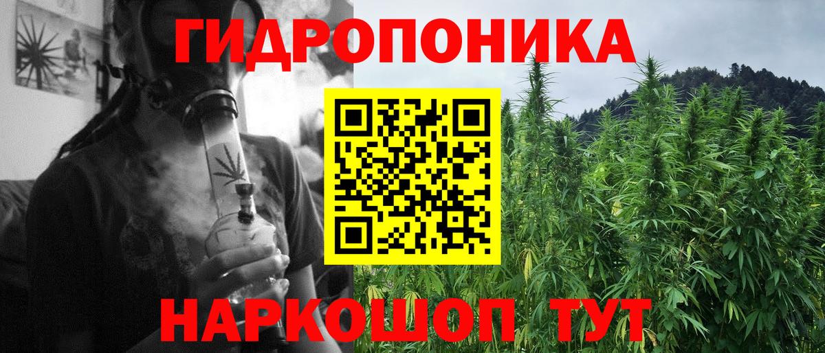 МАРИХУАНА сатива Жигулёвск